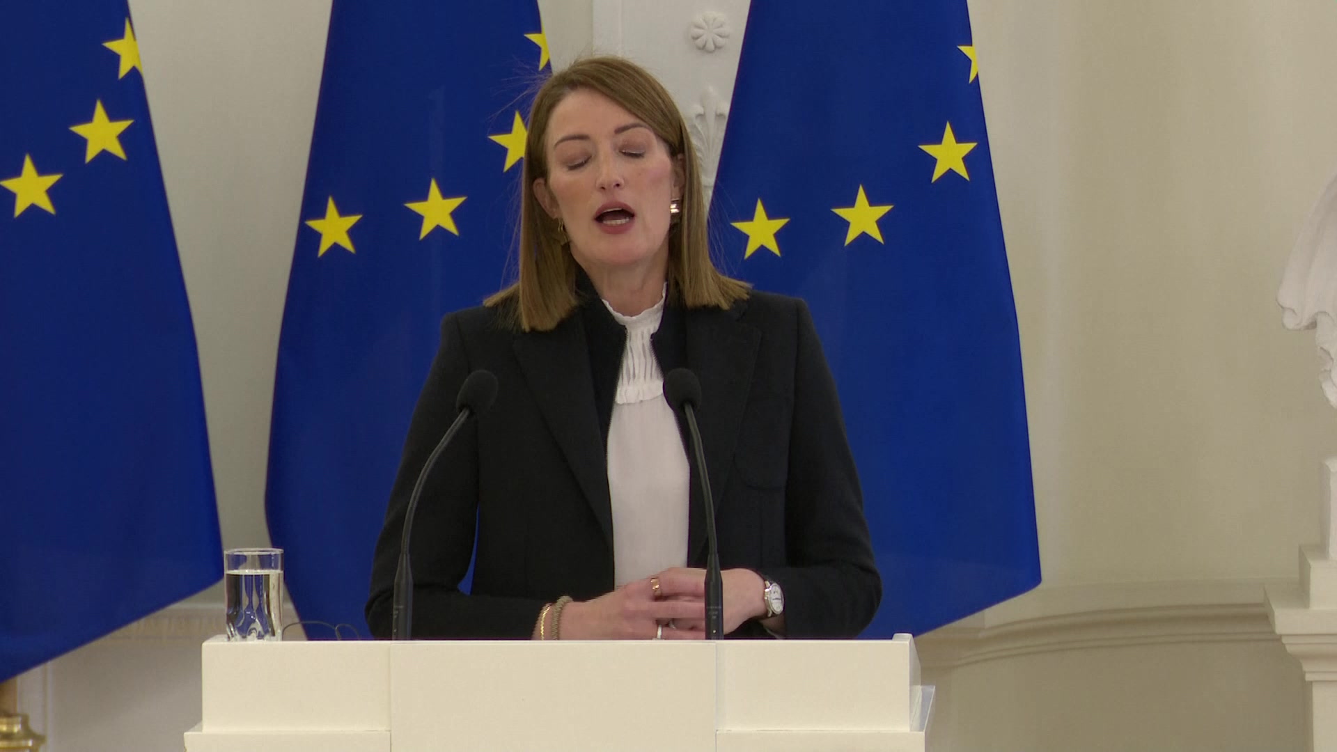 Joint press point by Roberta METSOLA, EP President and Gitanas NAUSĖDA, President of Lithuania